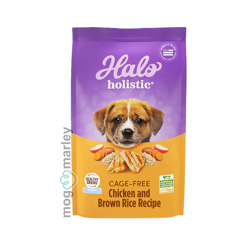 Halo puppy 2025 dog food