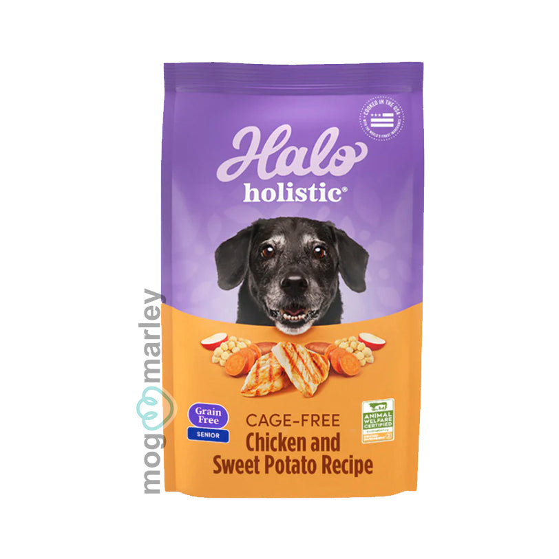 Halo holistic chicken recipe senior canned hot sale dog food