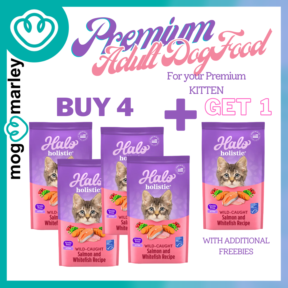 Halo Holistic KITTEN Wild Caught Salmon Whitefish Recipe Premium dry Food Buy 4 1 mog marley