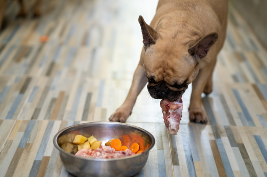 Image of a dog and a bowl of food