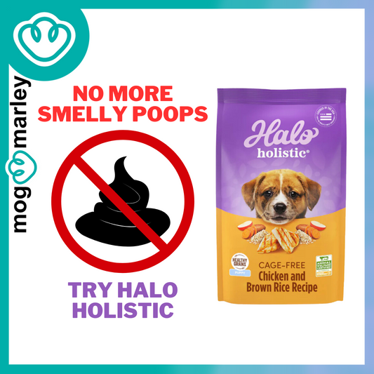 Buy 2 4.5kg Halo Holistic Puppy Healthy Grains Cage-Free Chicken & Brown Rice - mog&marley