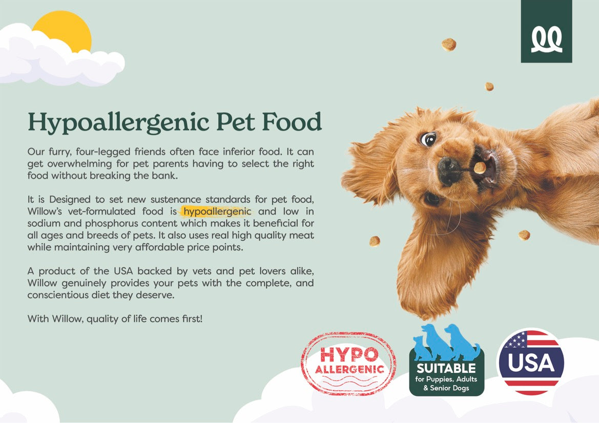 Beneficial dog food top ingredients