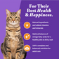 Halo Holistic Adult CAT Grains Cage-Free Chicken Recipe