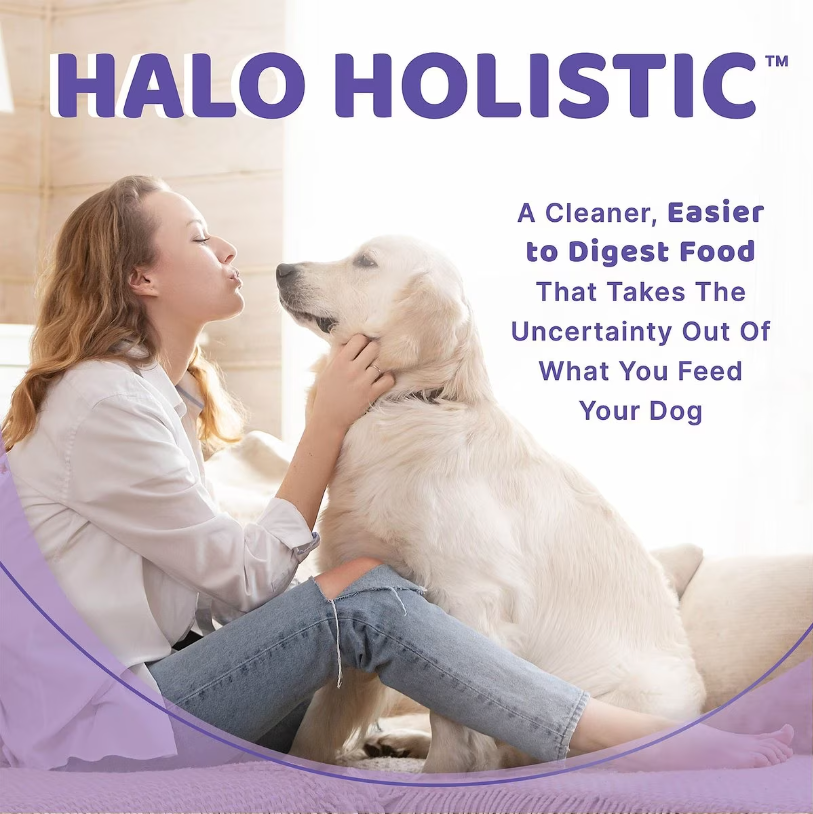 Halo turkey best sale dog food