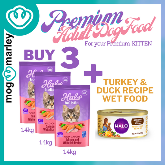 Halo KITTEN Wild Caught Salmon & Whitefish Recipe Premium dry Food Buy3+1 Turkey Wet food- mog&marley