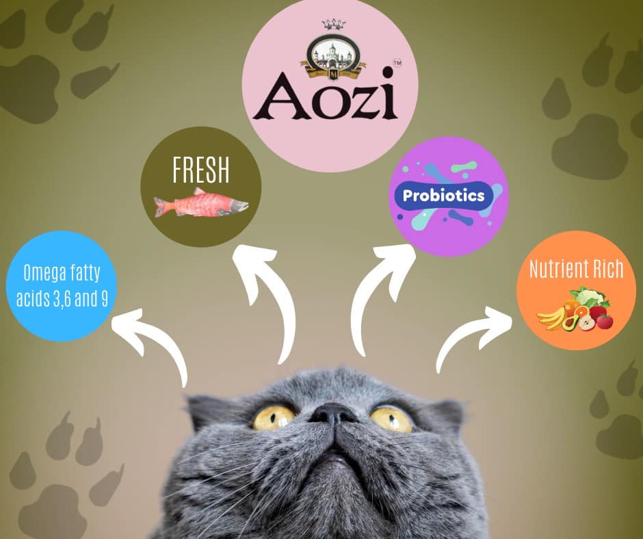 Aozi CAT Pure Natural Organic Cat Food (All Stages) Salmon Flavor 1 kg - mog and marley