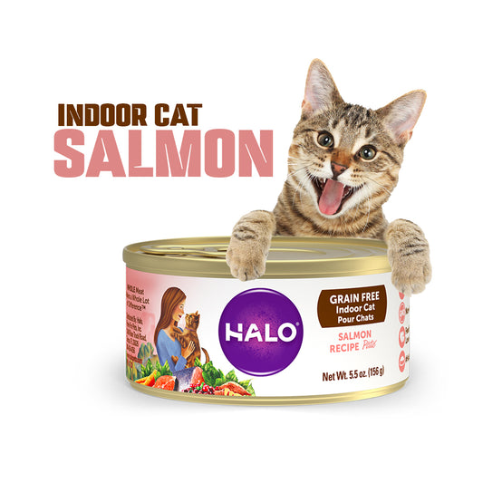 Indoor Cat Grain-Free Salmon Pâté Wet Food